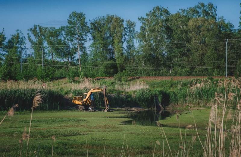 Excavadora amarilla rodeada de vegetación en un entorno rural