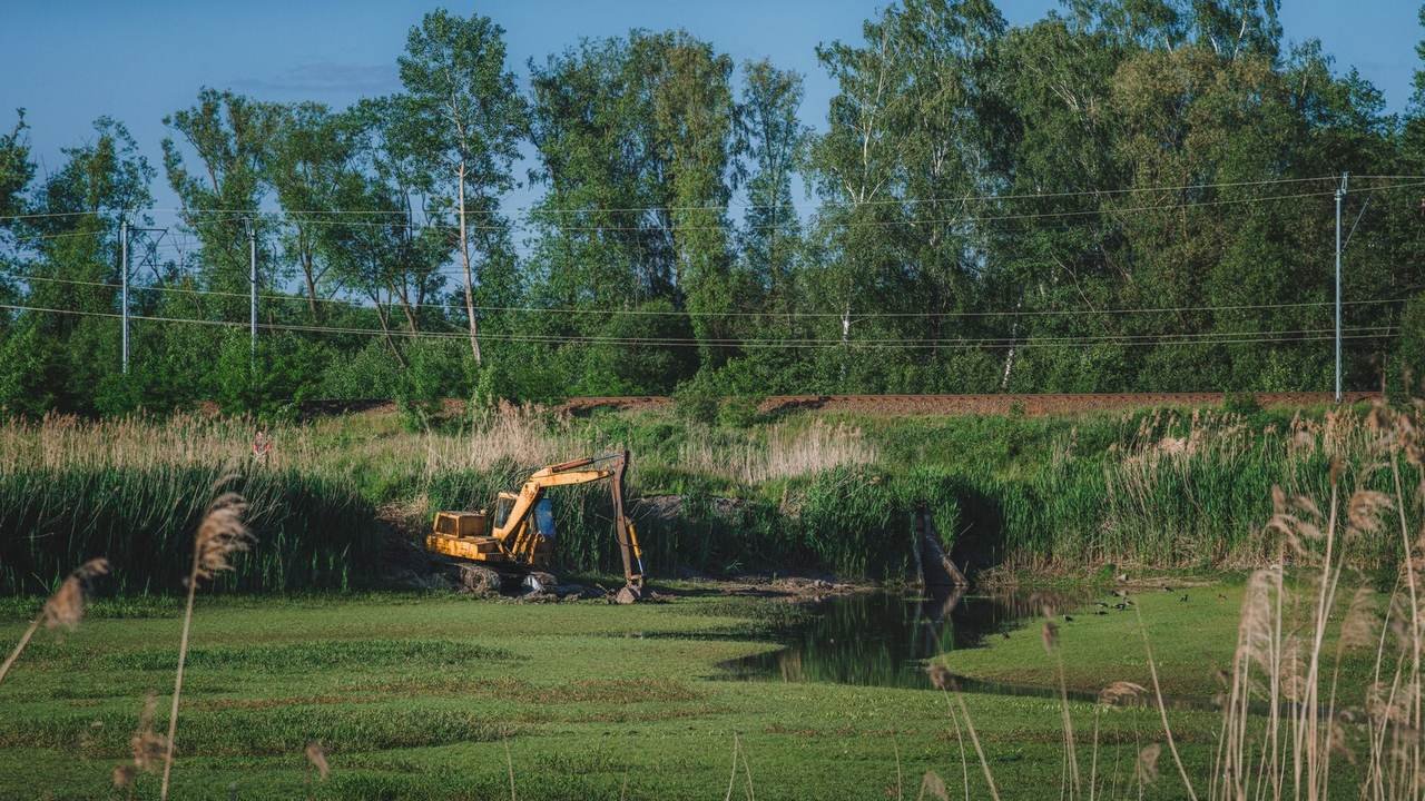Excavadora amarilla rodeada de vegetación en un entorno rural